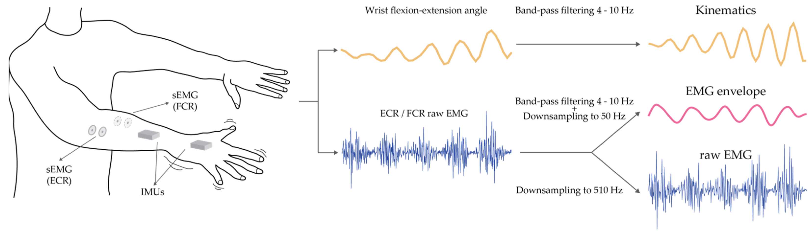 Entropy 25 00114 g001