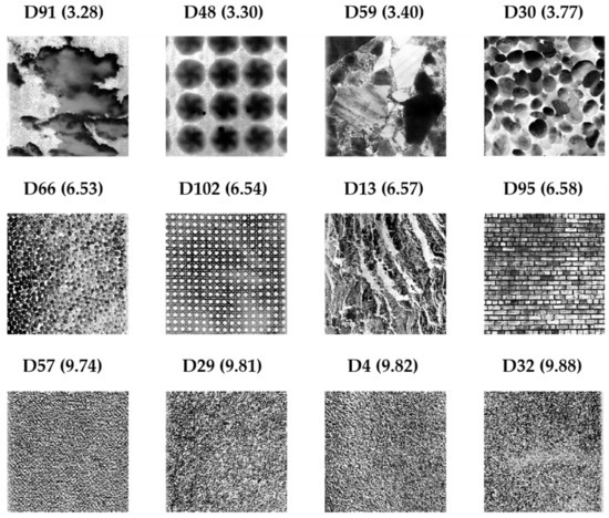 Entropy 25 00159 g002
