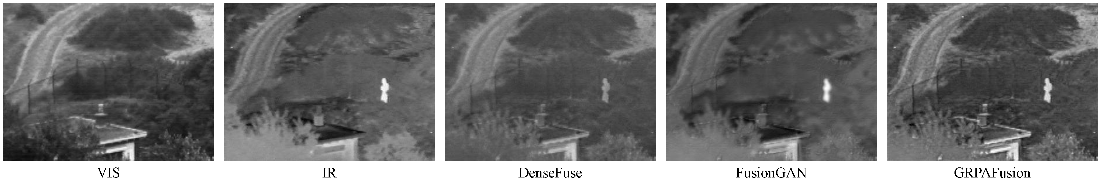 Entropy 25 00169 g001