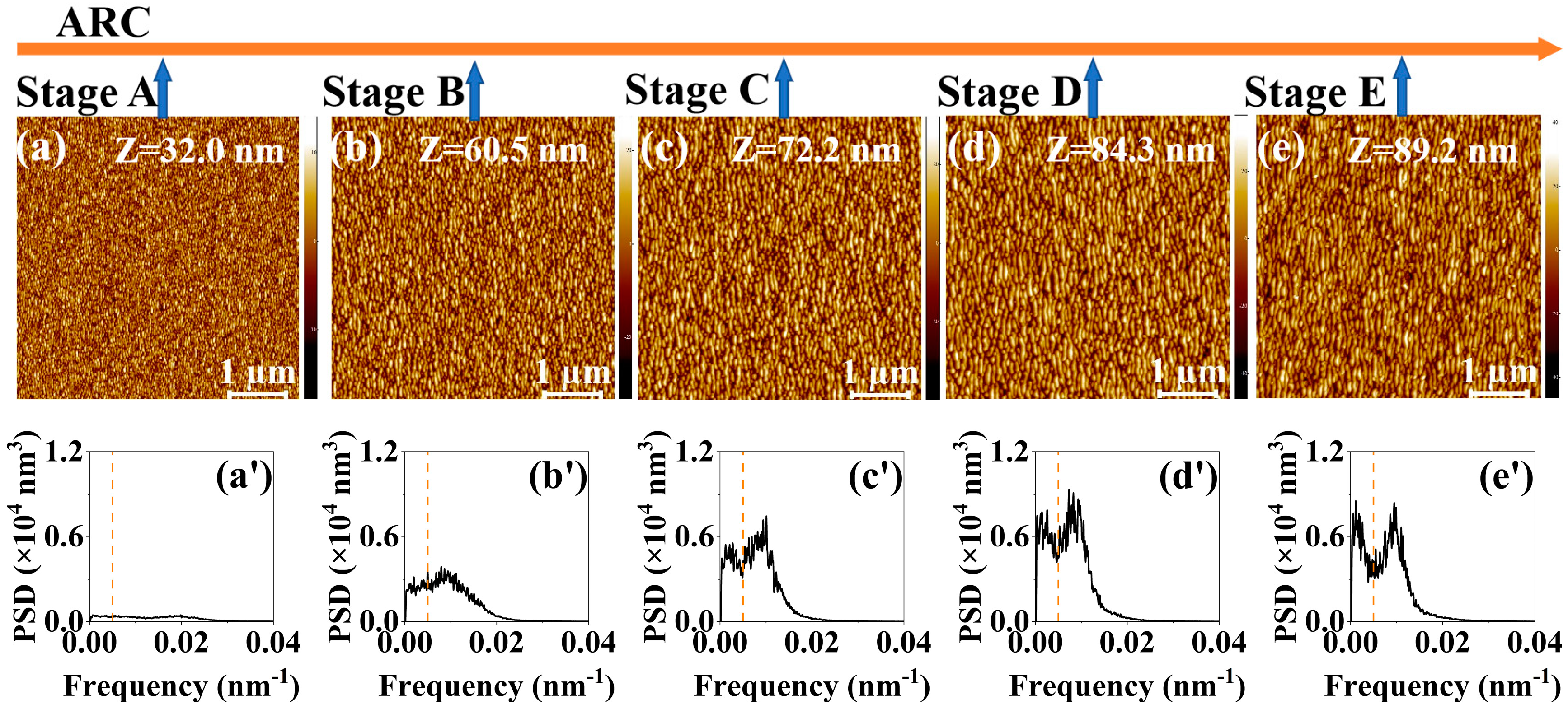 Entropy 25 00170 g001
