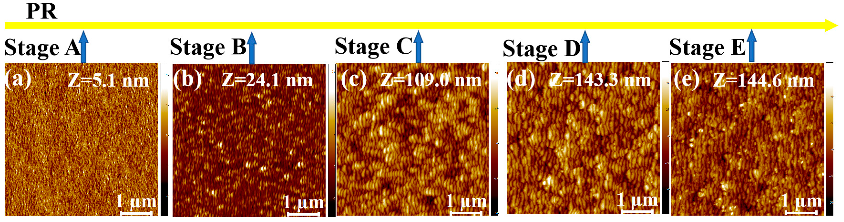 Entropy 25 00170 g002a