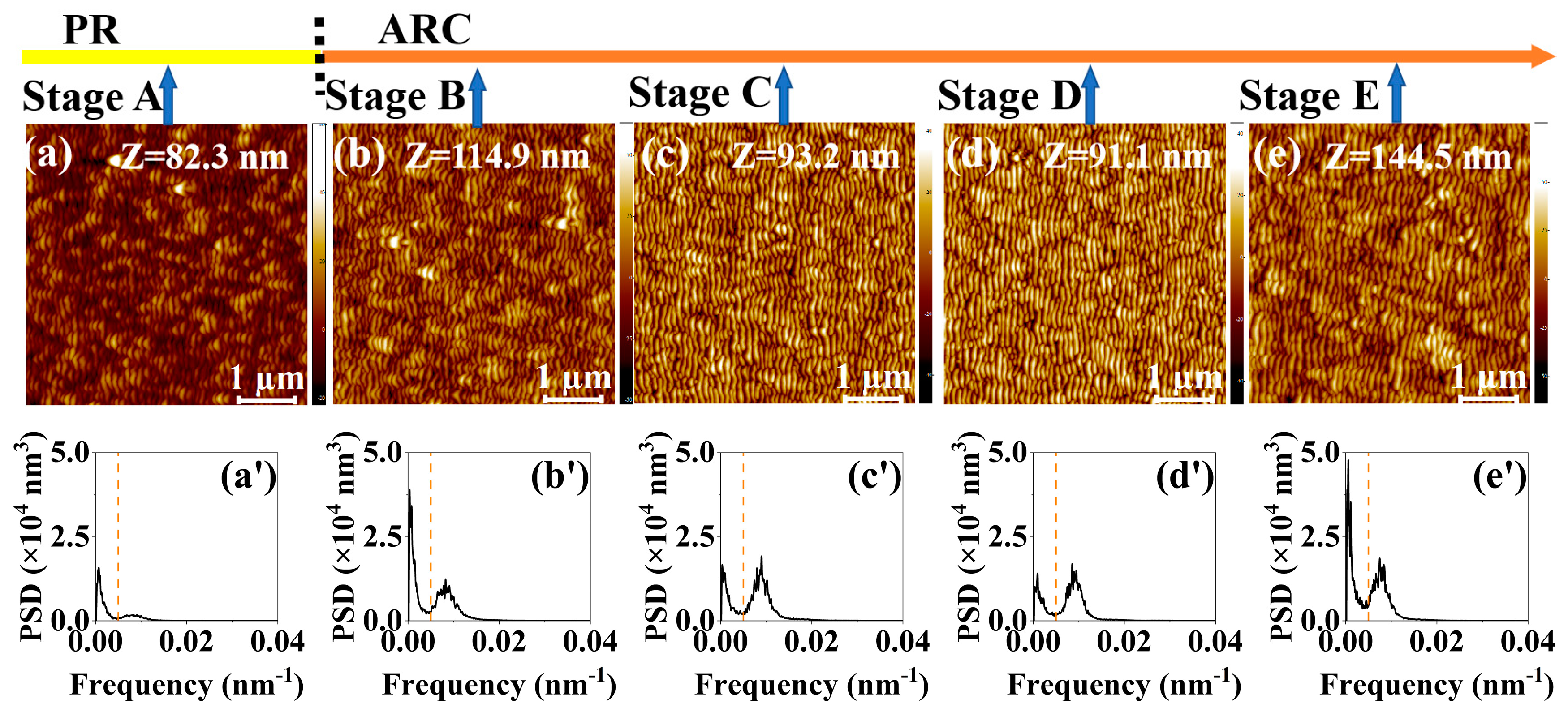 Entropy 25 00170 g003
