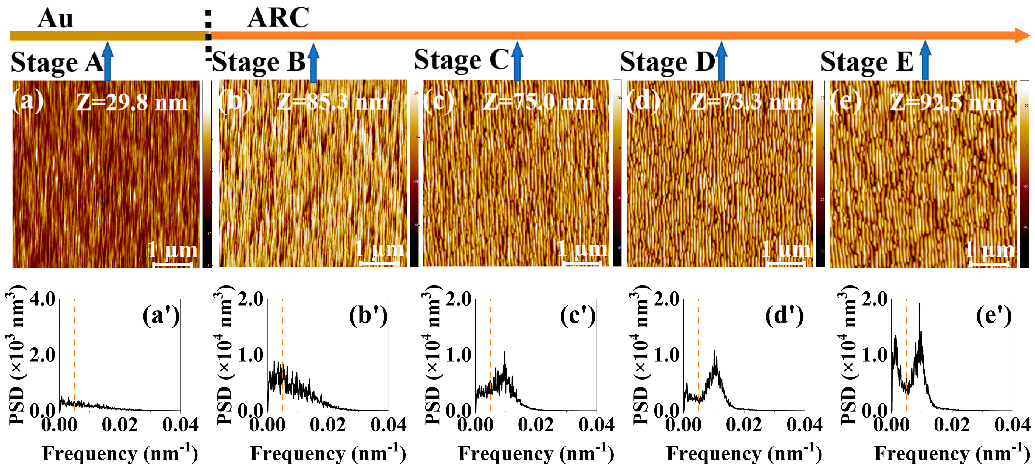 Entropy 25 00170 g004