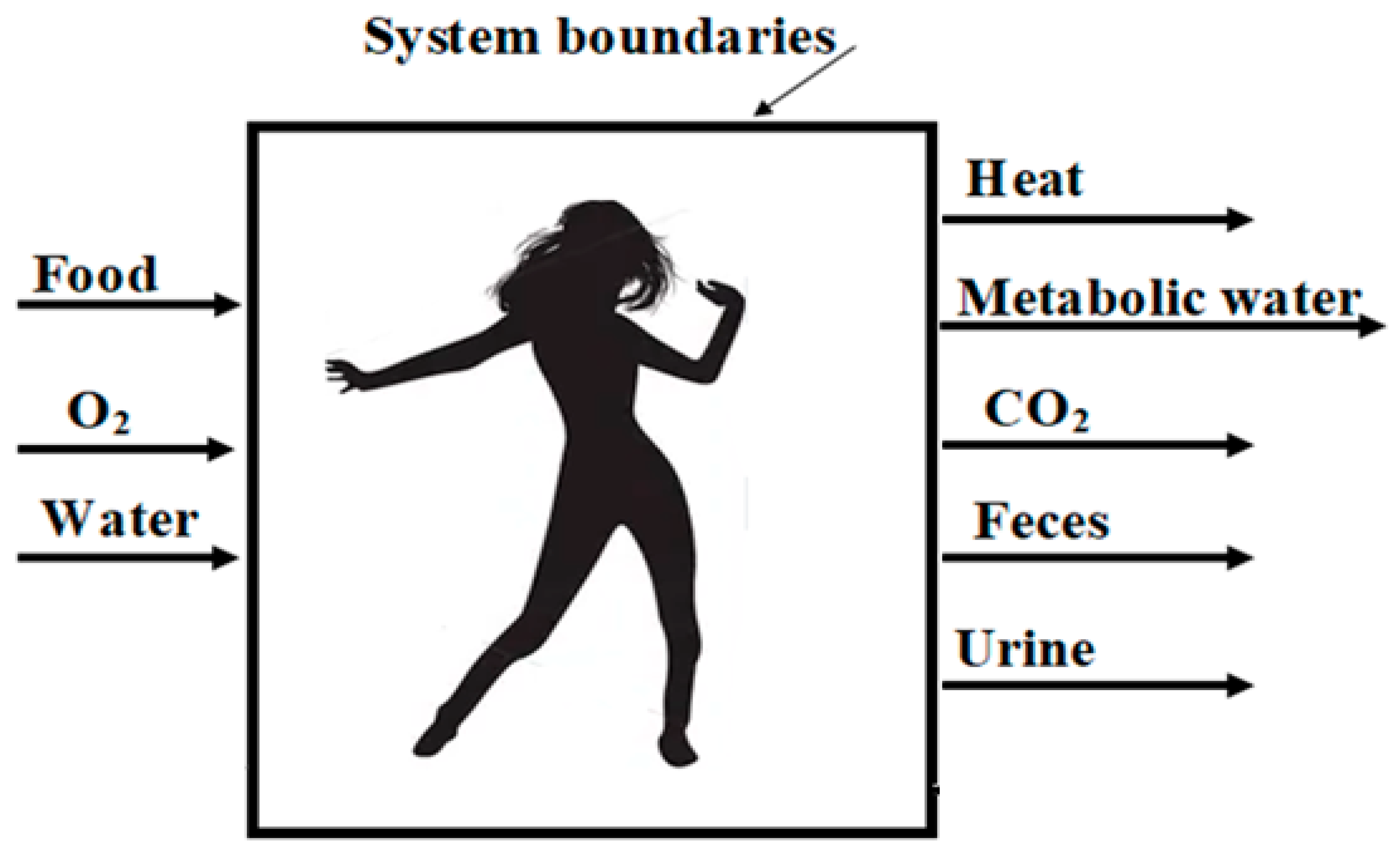 Entropy 25 00227 g001