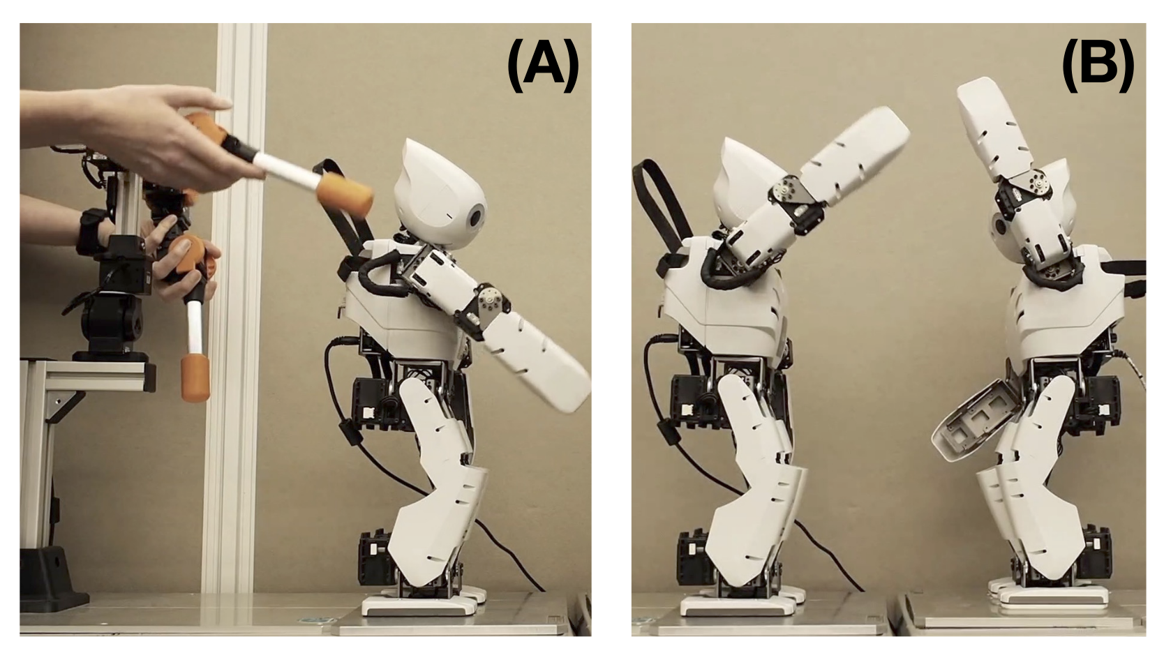 Entropy 25 00263 g002