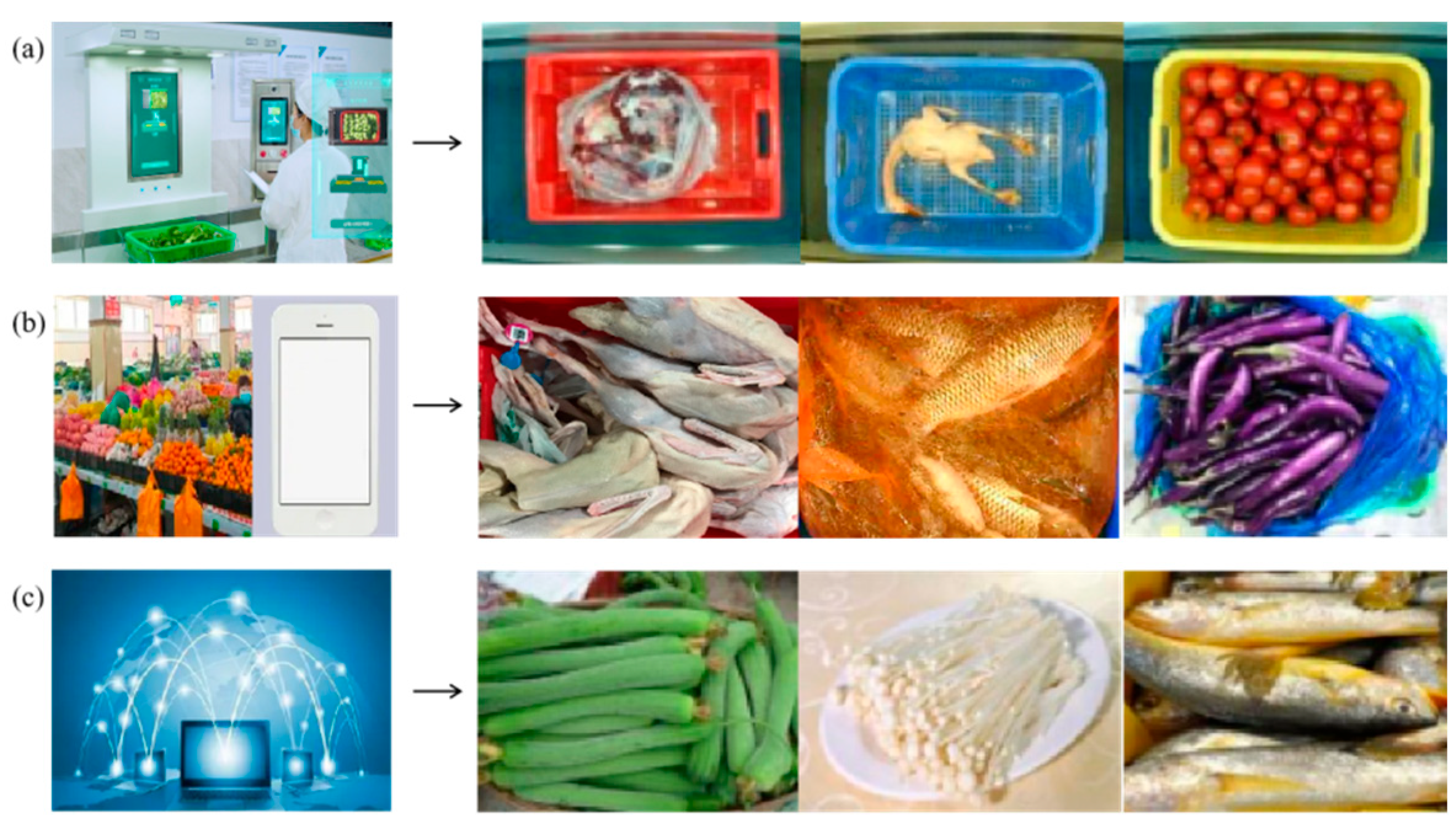 Entropy 25 00388 g001