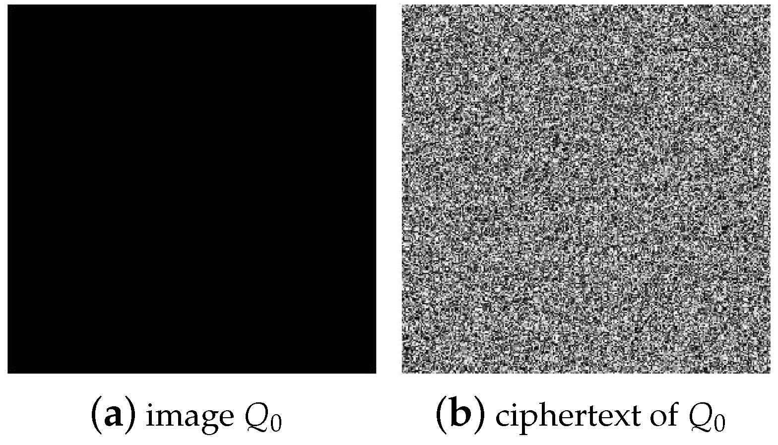 Entropy 25 00395 g005