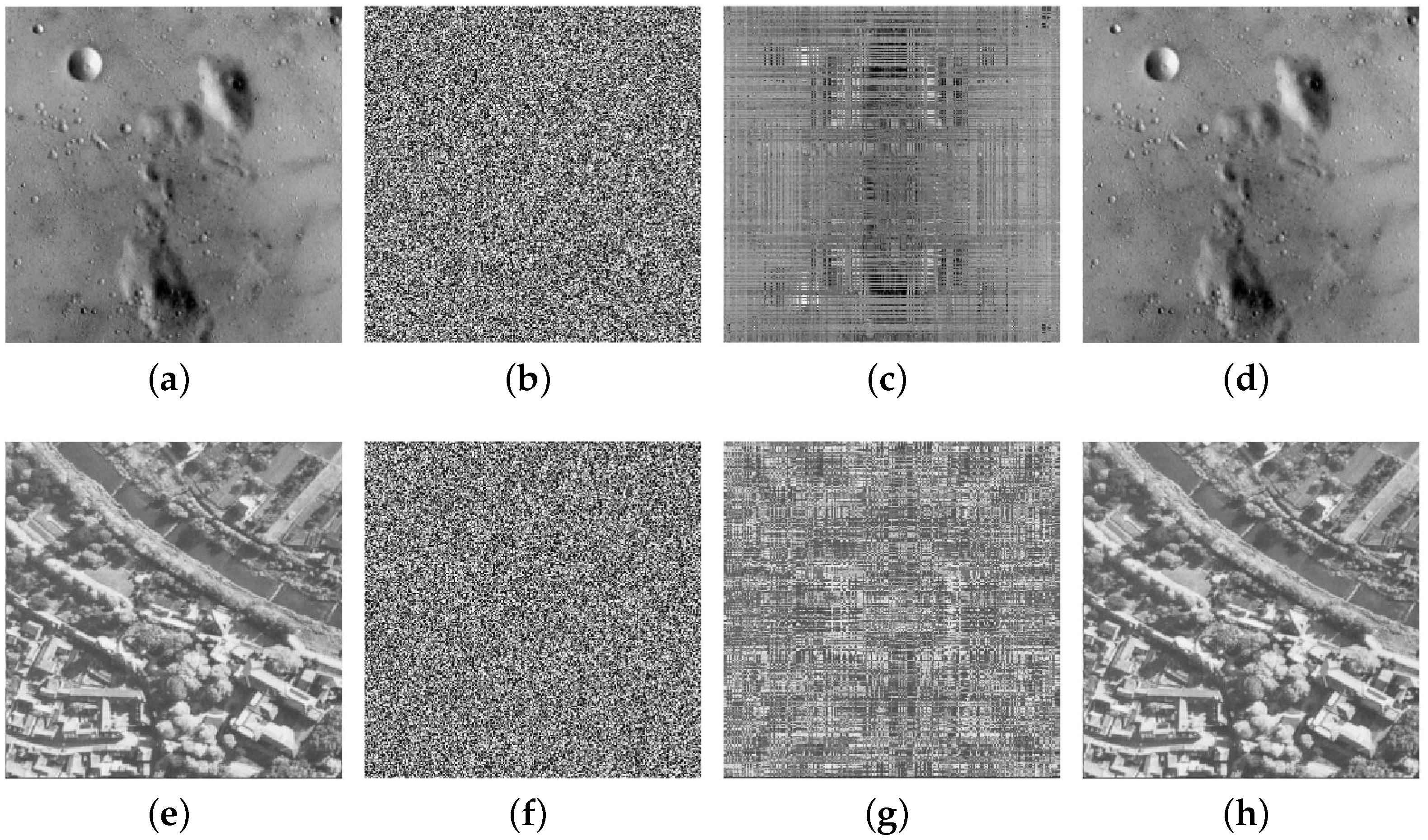 Entropy 25 00395 g008