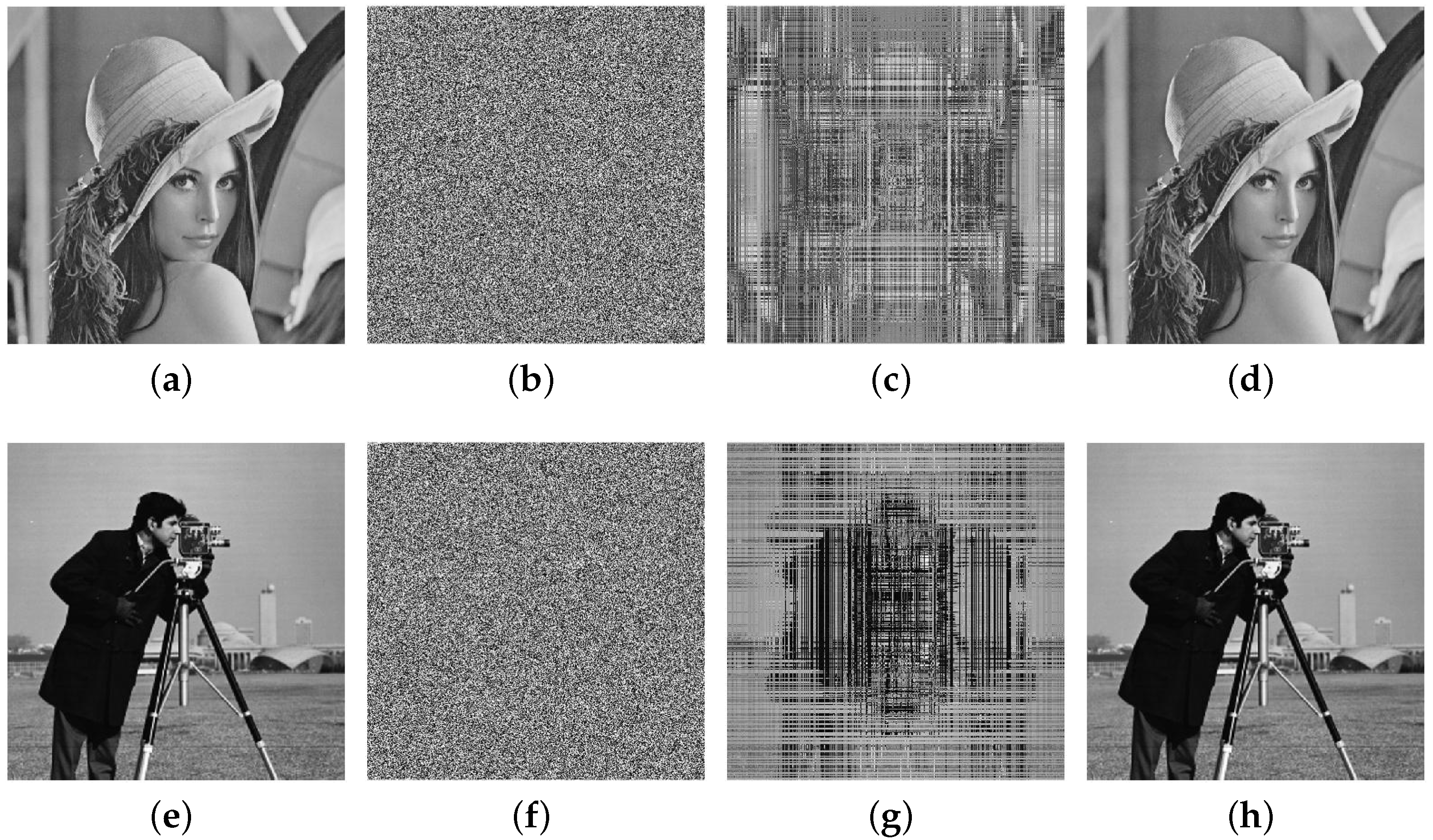 Entropy 25 00395 g009