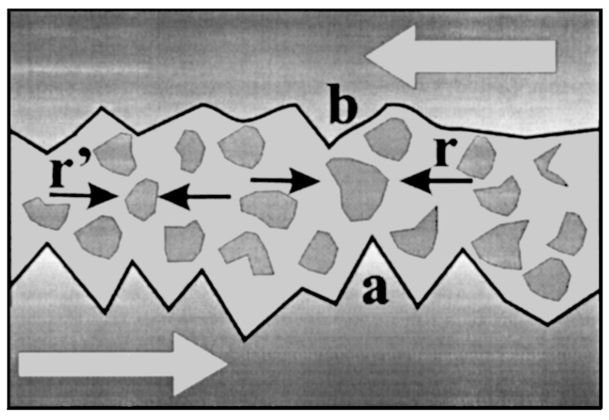 Entropy 25 00408 g001