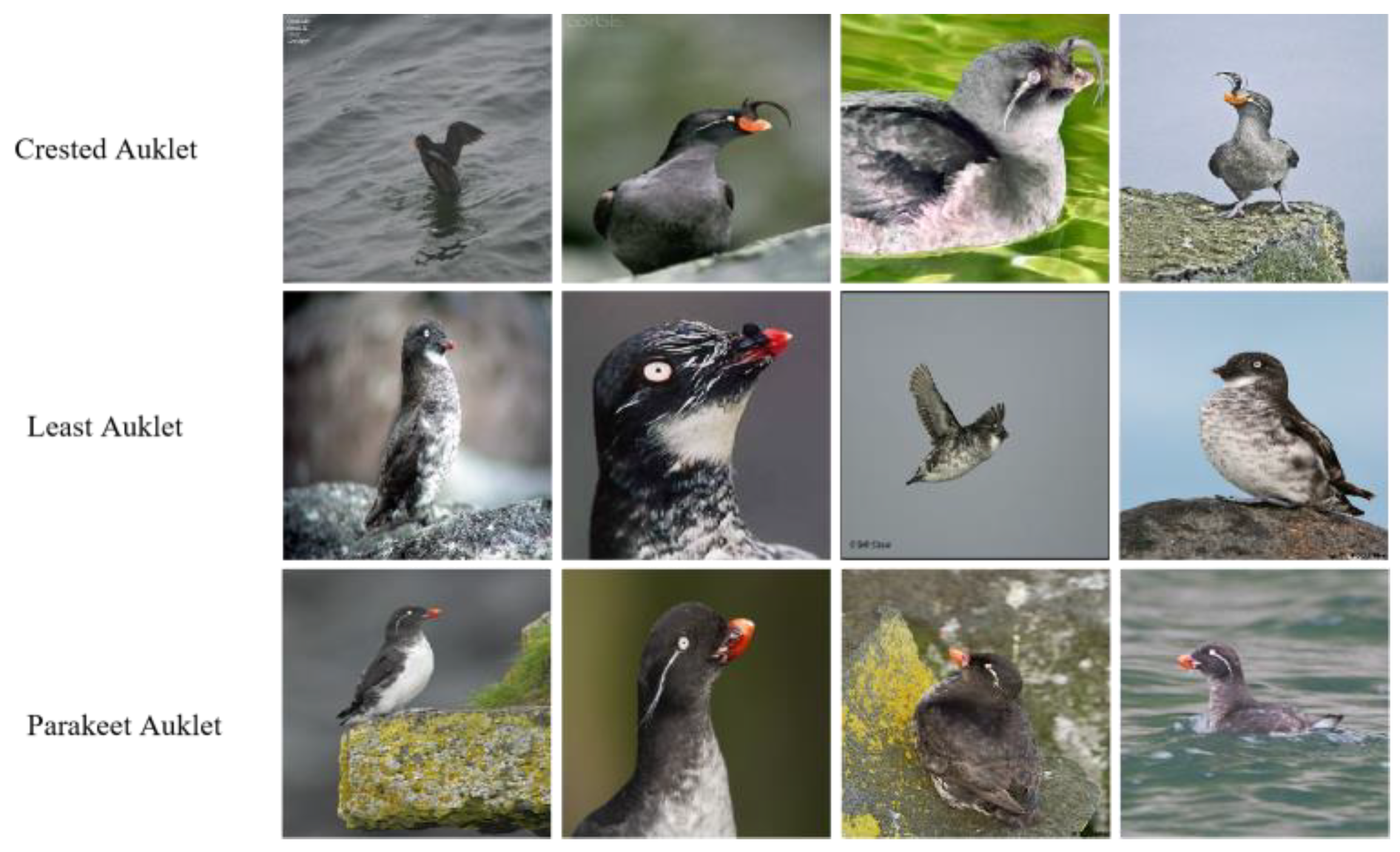 Entropy 25 00601 g001