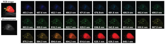 Entropy 25 00649 g0a11
