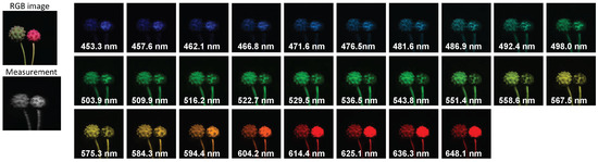 Entropy 25 00649 g0a12