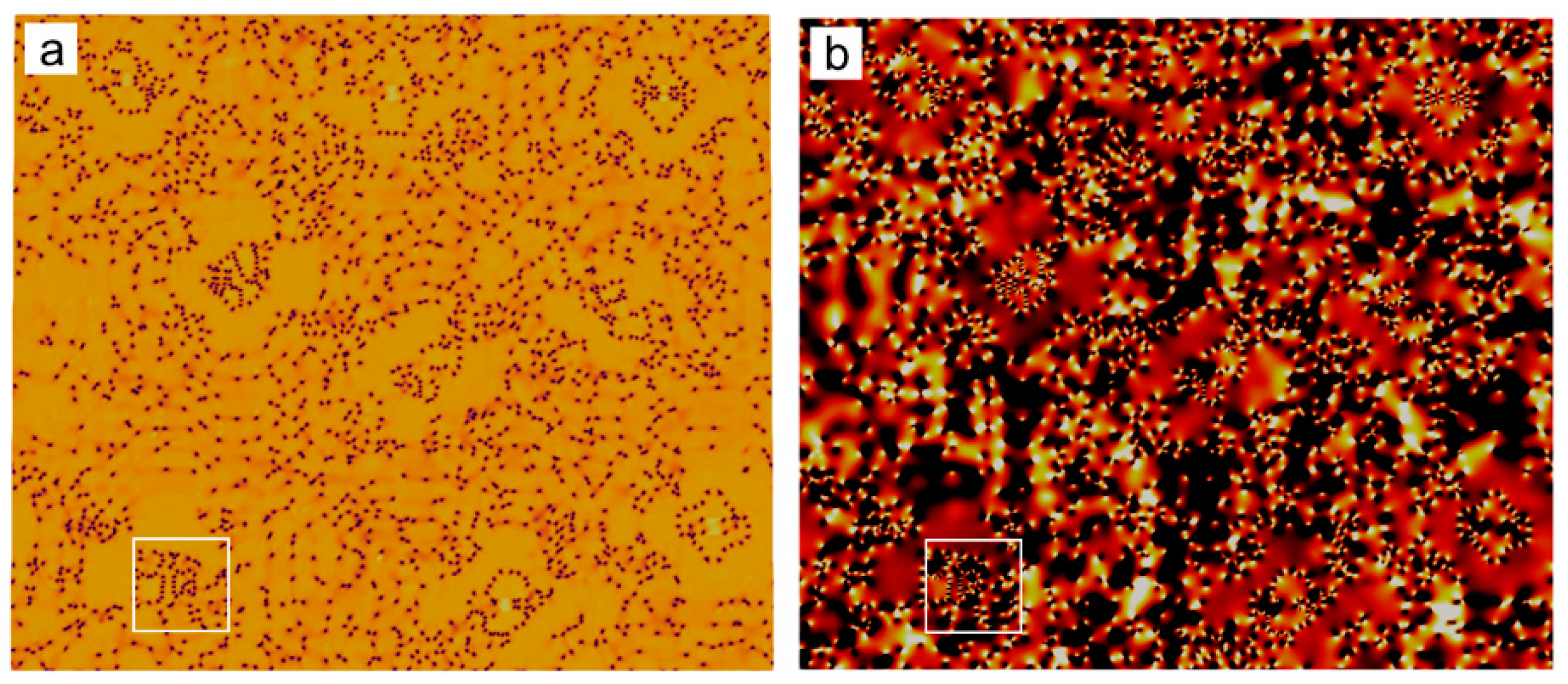 Entropy 25 00708 g004