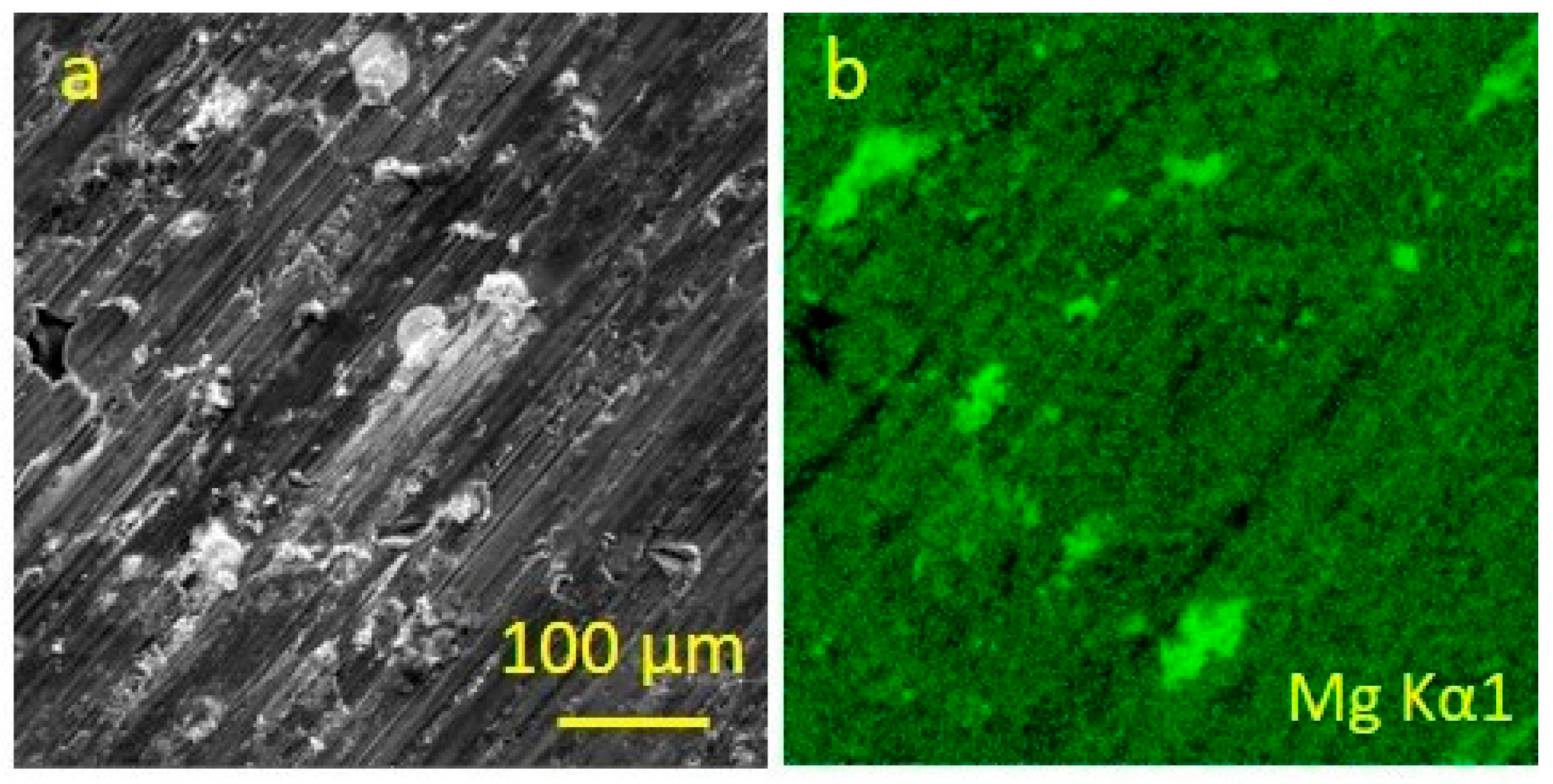 Entropy 25 00771 g005