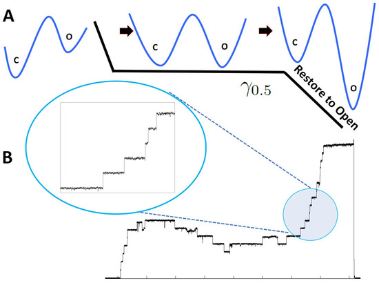 Entropy 25 00779 g002