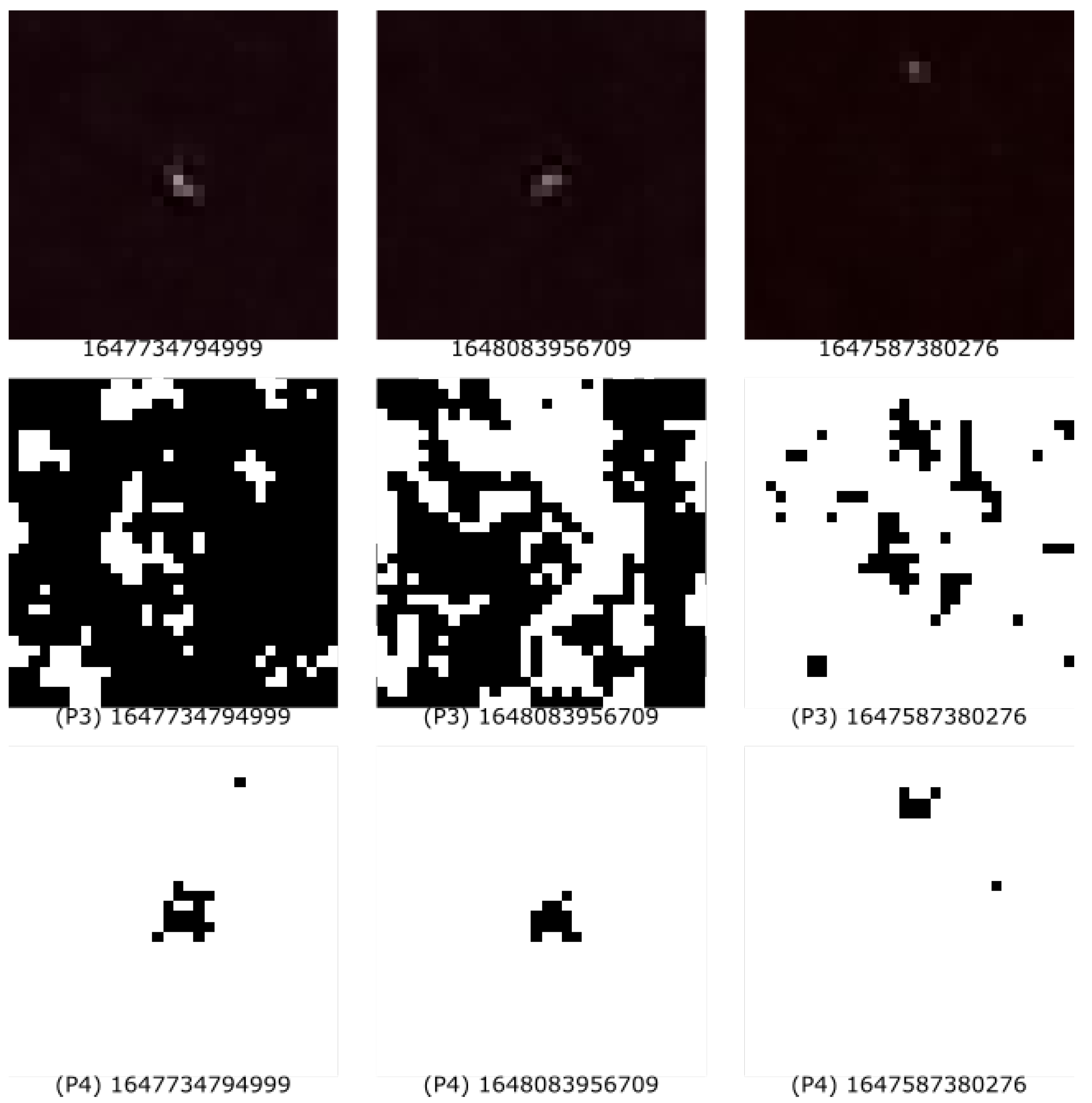 Entropy 25 00854 g004