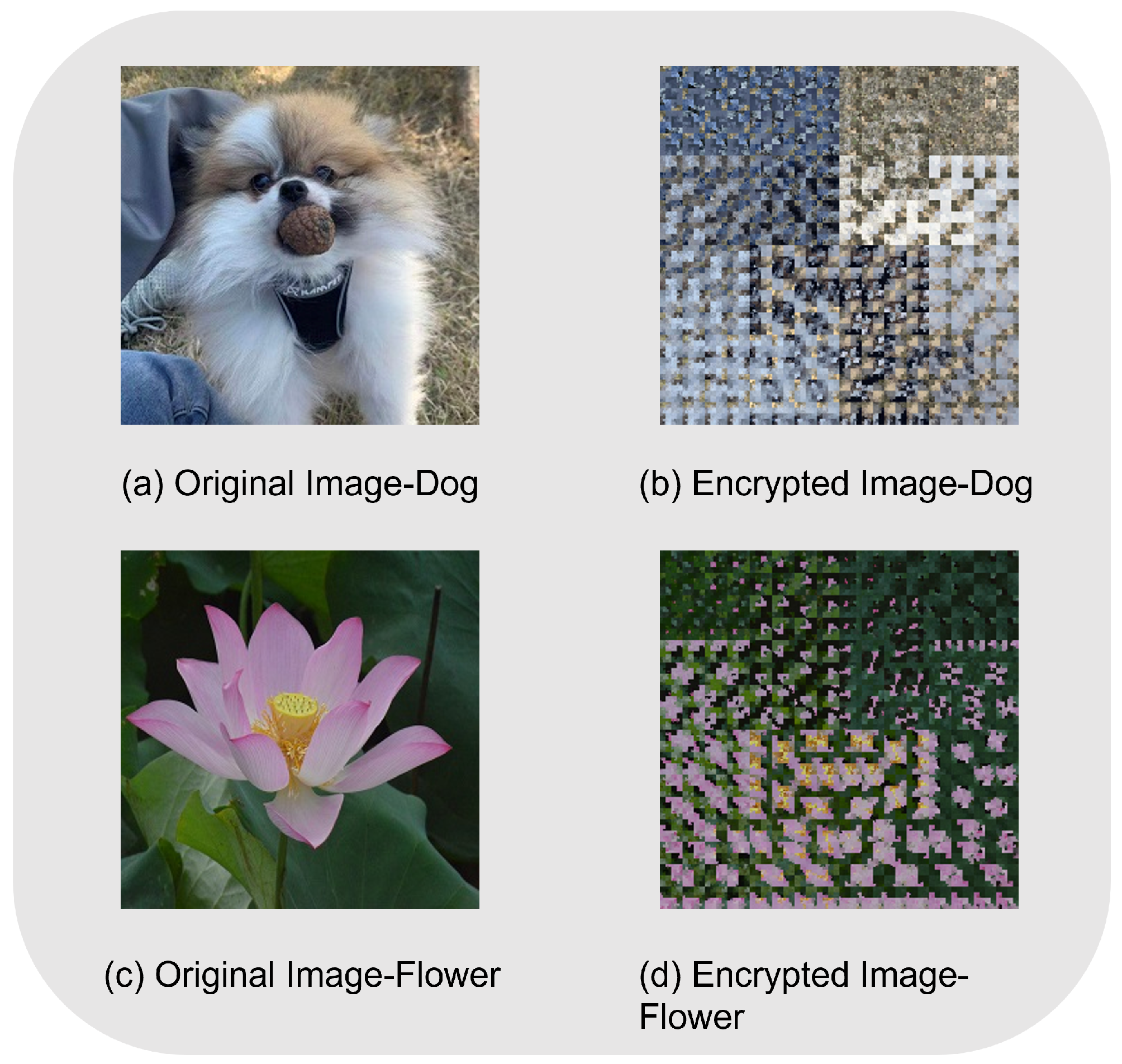 Entropy 25 00865 g003 Entropy 25 00865 g003