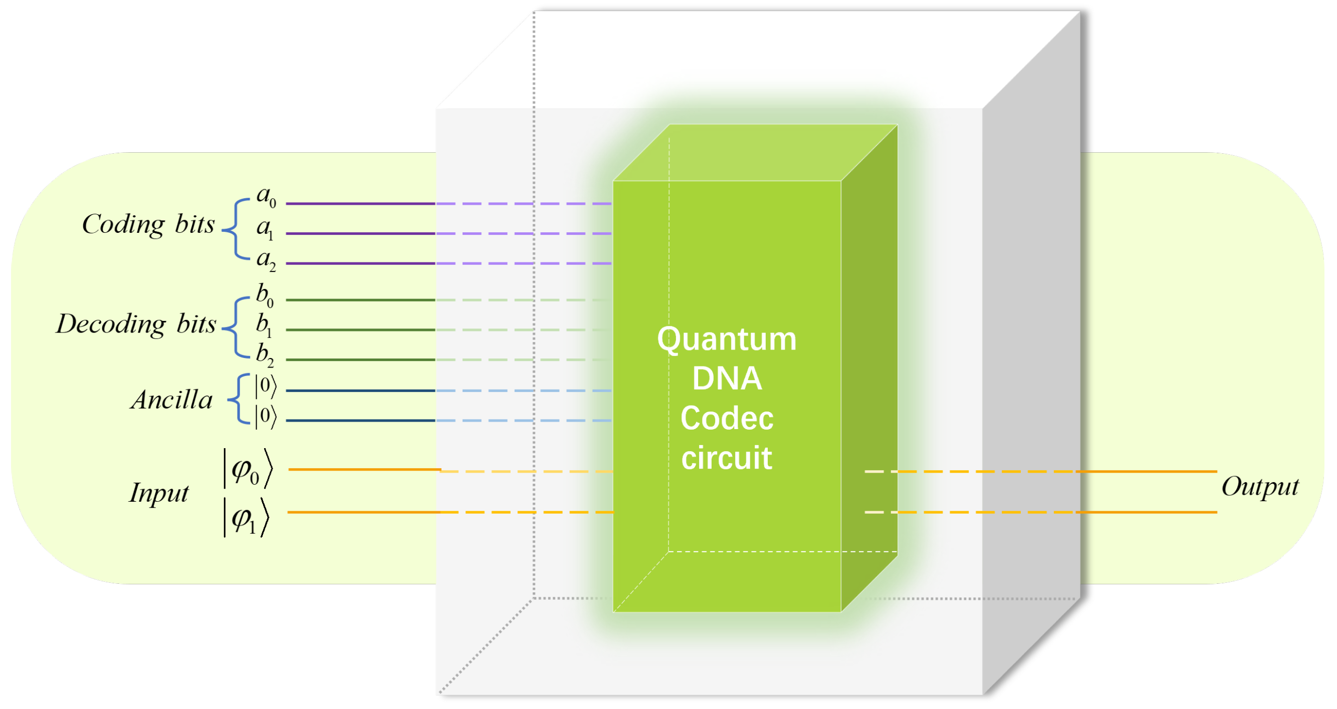 Entropy 25 00865 g005 Entropy 25 00865 g005