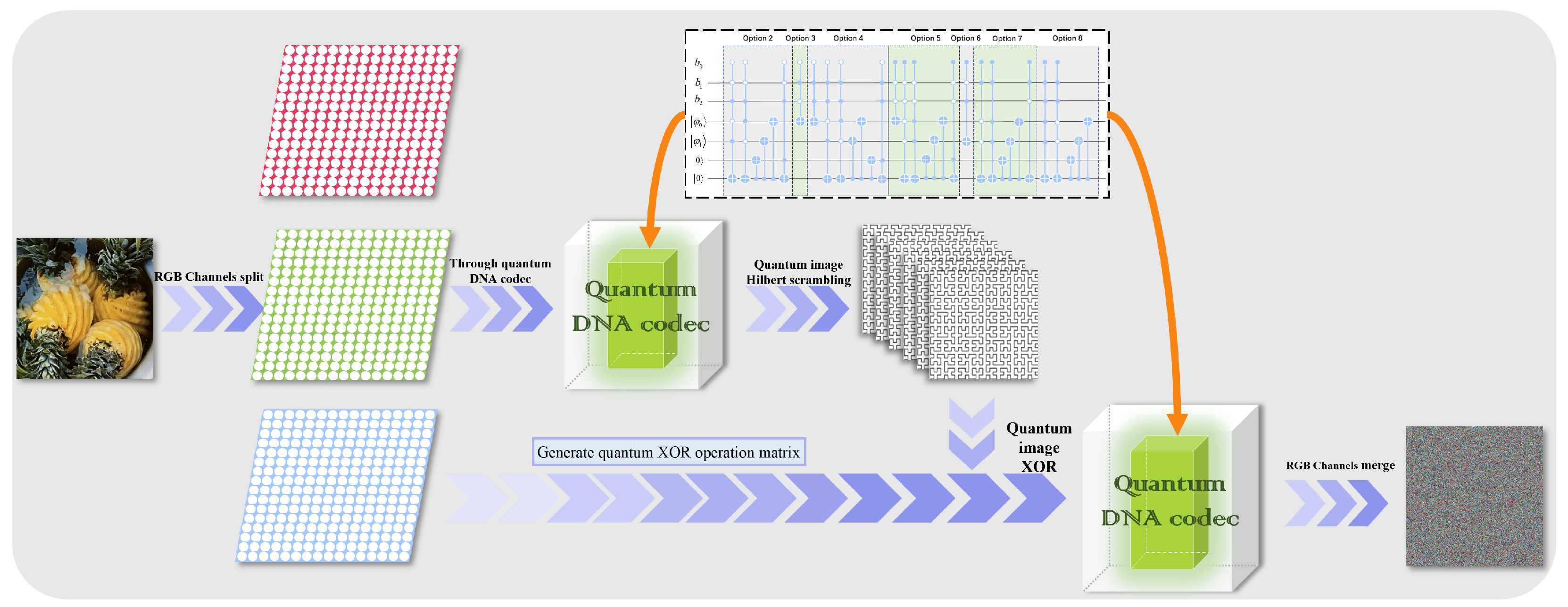 Entropy 25 00865 g008 Entropy 25 00865 g008