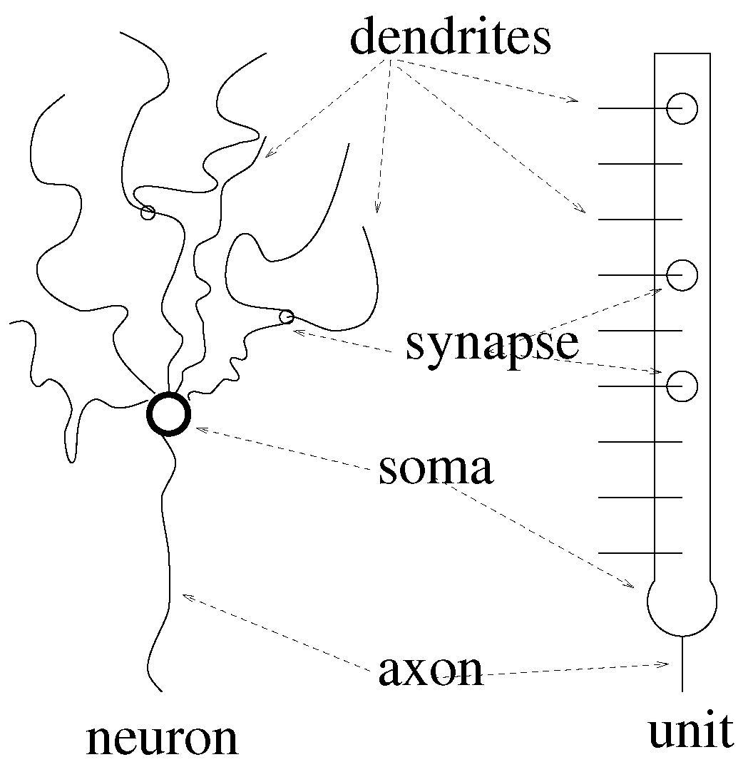 Entropy 25 00871 g001