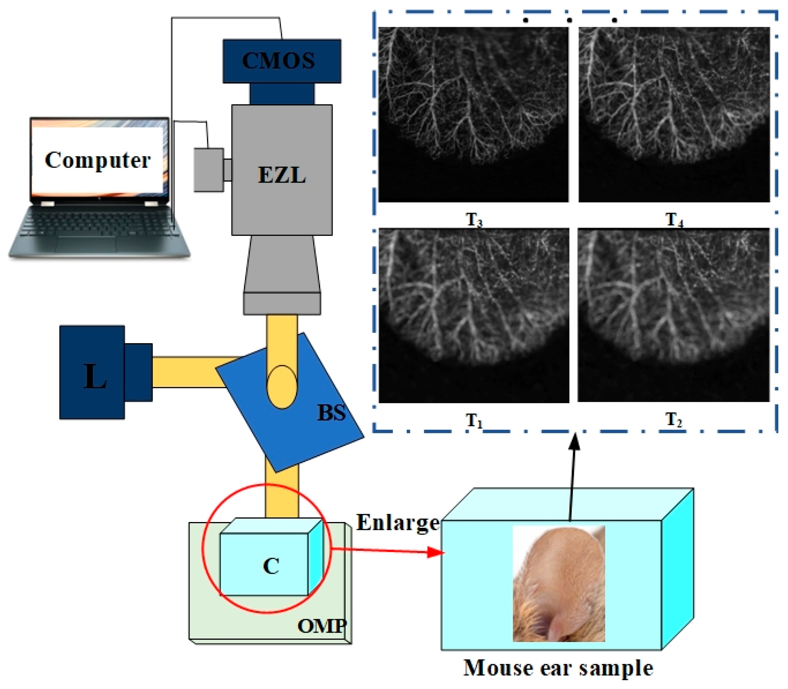 Entropy 25 00951 g001 Entropy 25 00951 g001