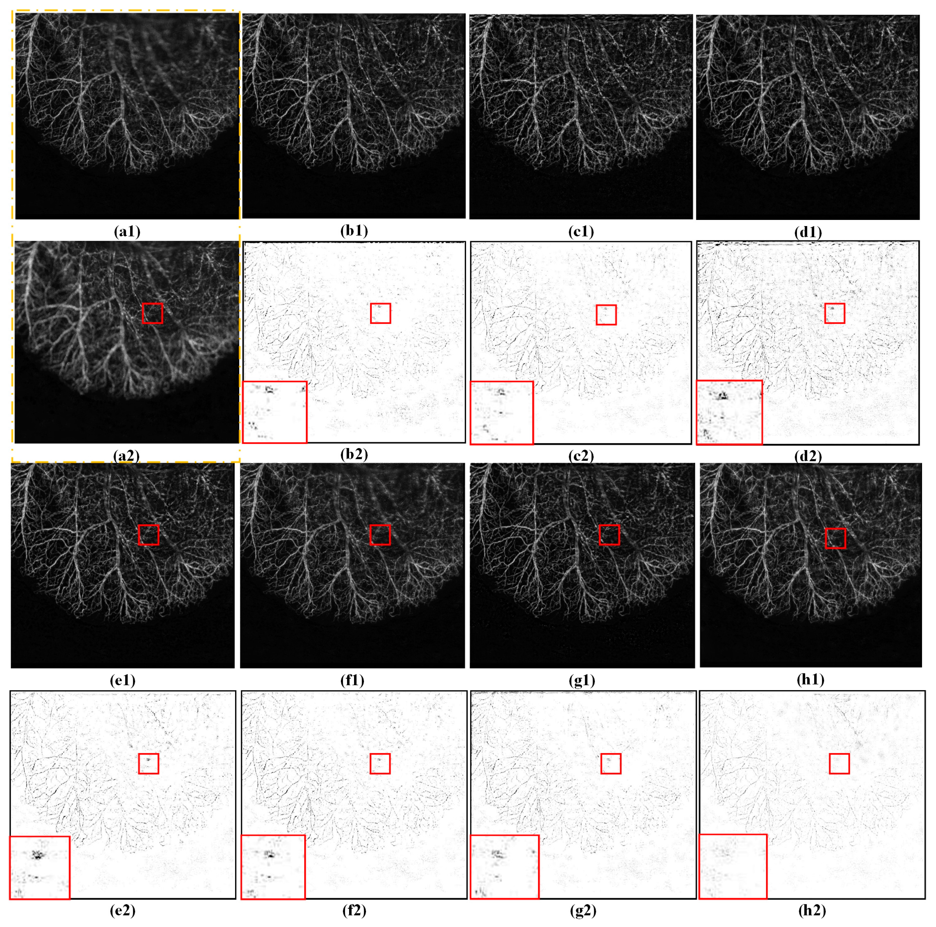 Entropy 25 00951 g004 Entropy 25 00951 g004