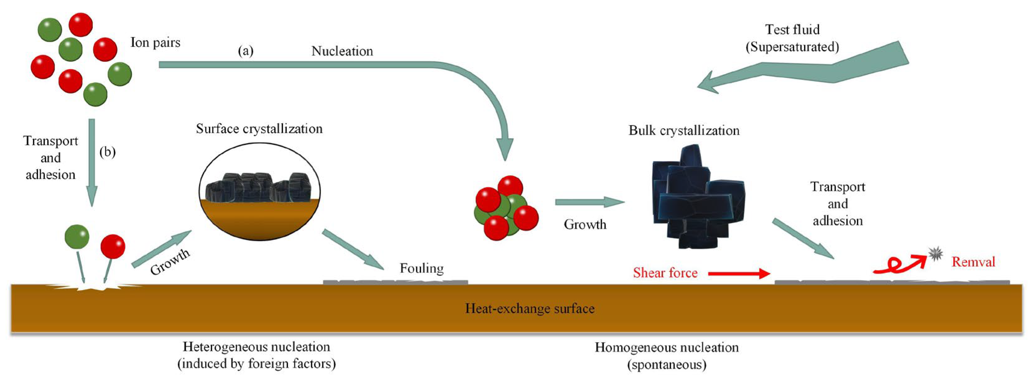 Entropy 25 00962 g003