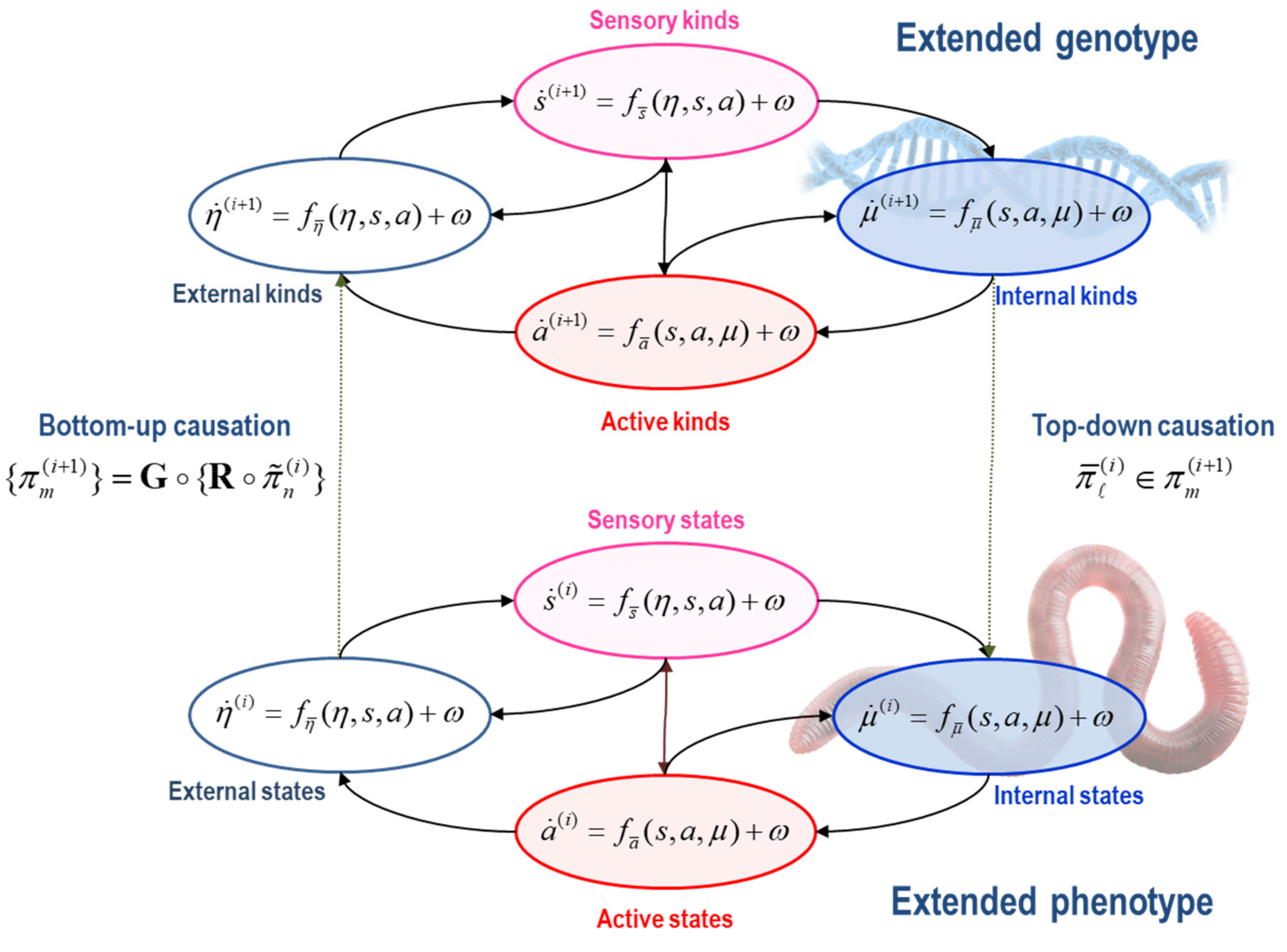 Entropy 25 00964 g001 Entropy 25 00964 g001