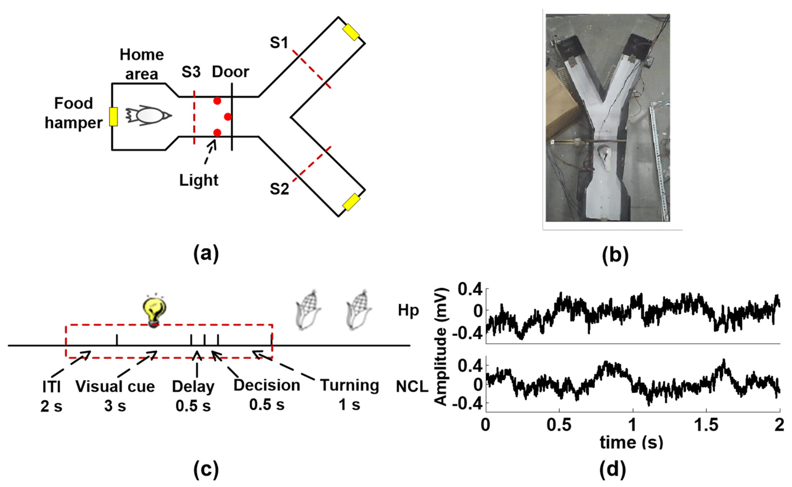 Entropy 25 00994 g002