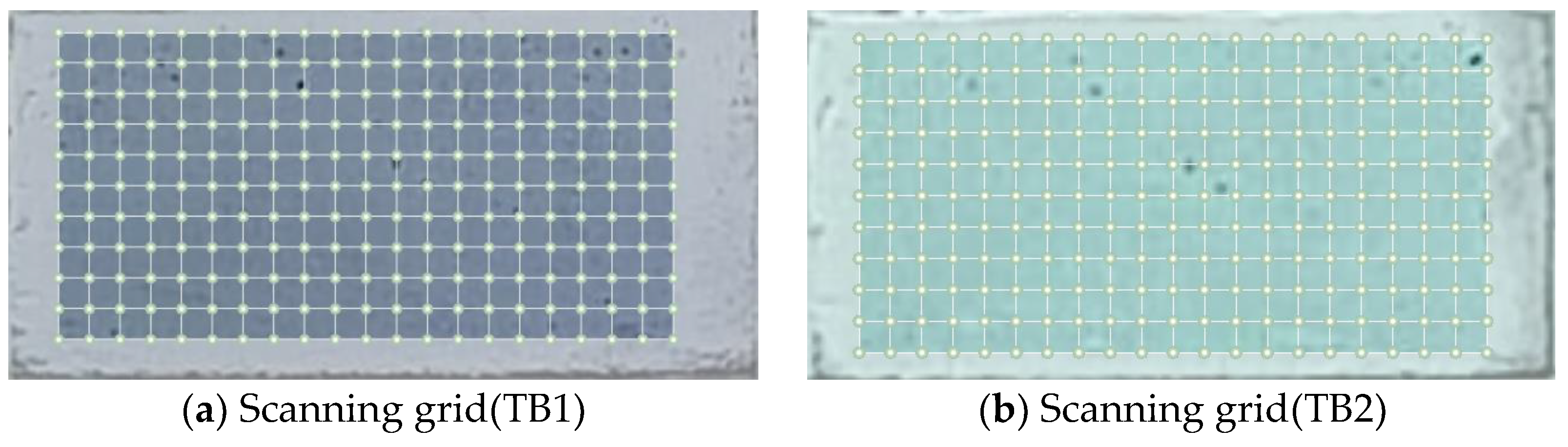 Entropy 25 01034 g007