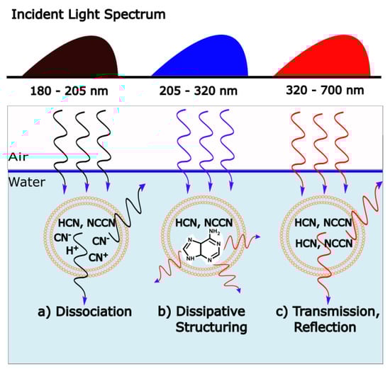 Entropy 25 01059 g007