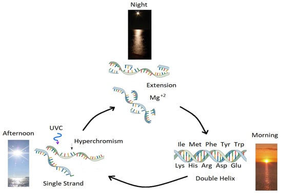Entropy 25 01059 g009