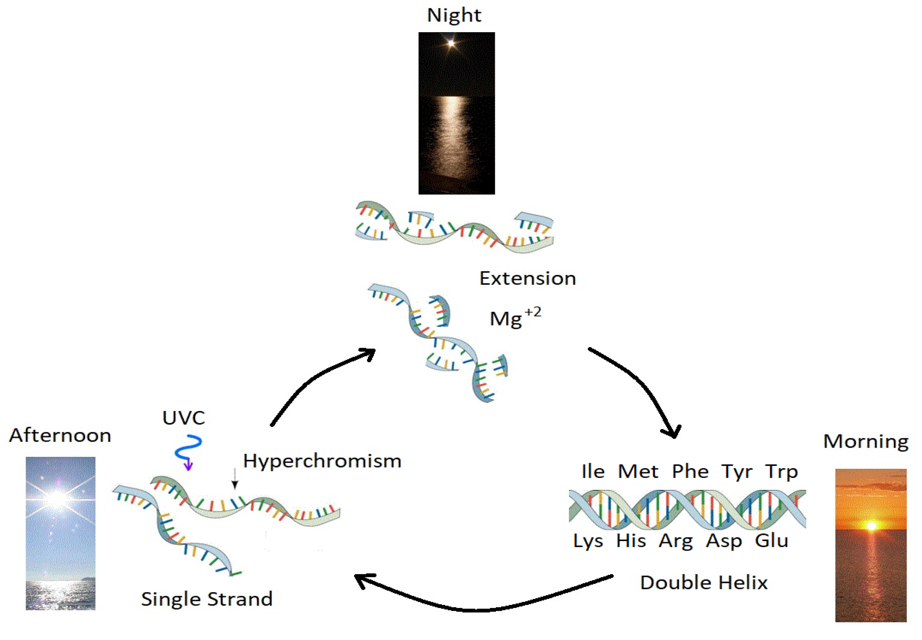 Entropy 25 01059 g009 Entropy 25 01059 g009