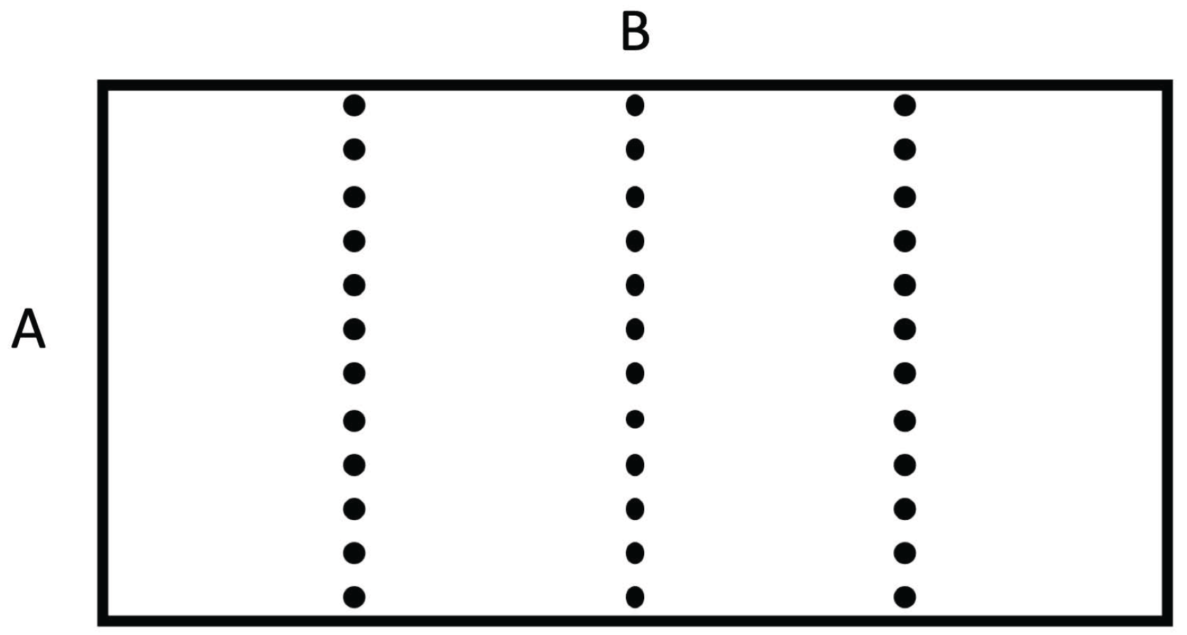Entropy 25 01091 g002