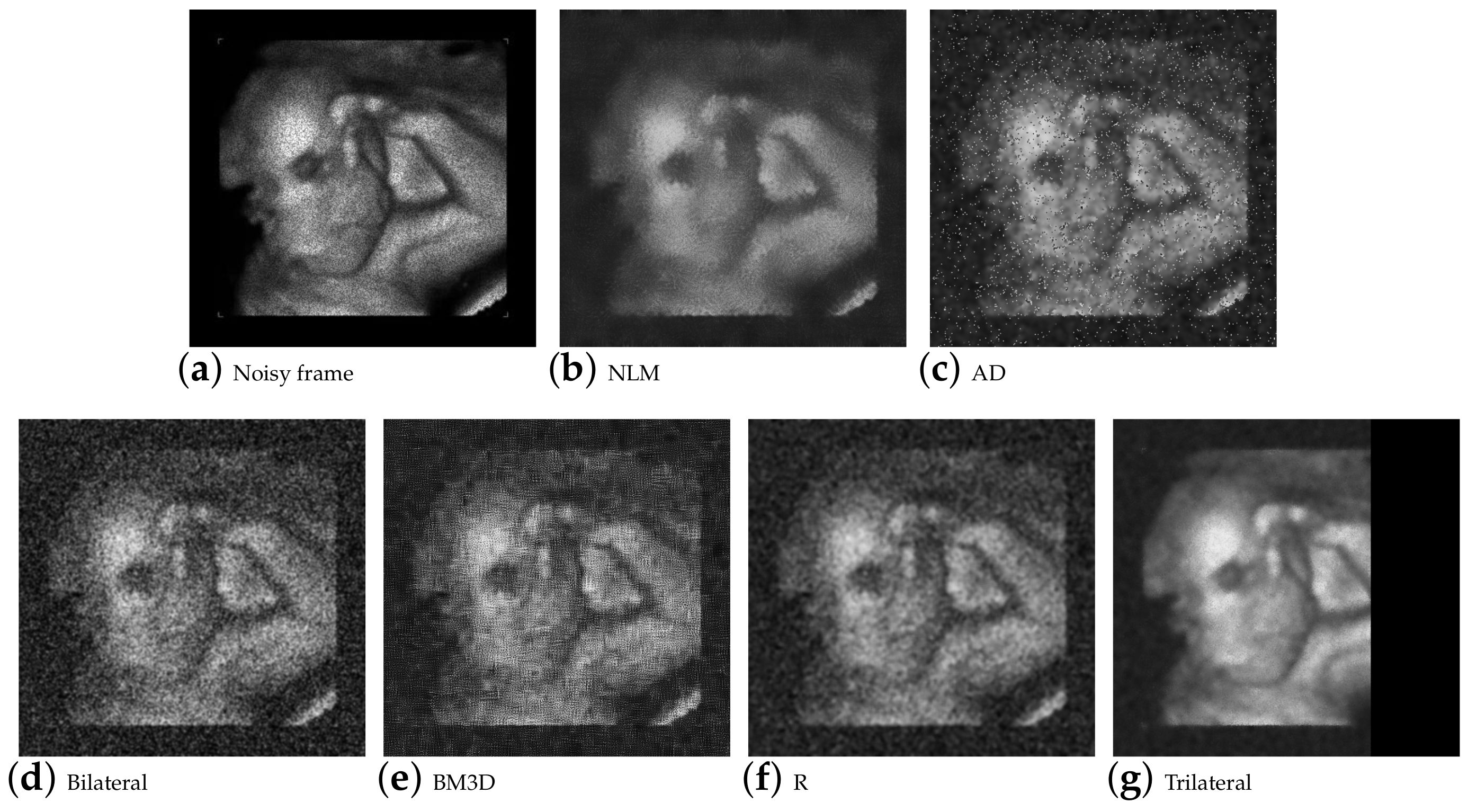 Entropy 25 01176 g009 Entropy 25 01176 g009