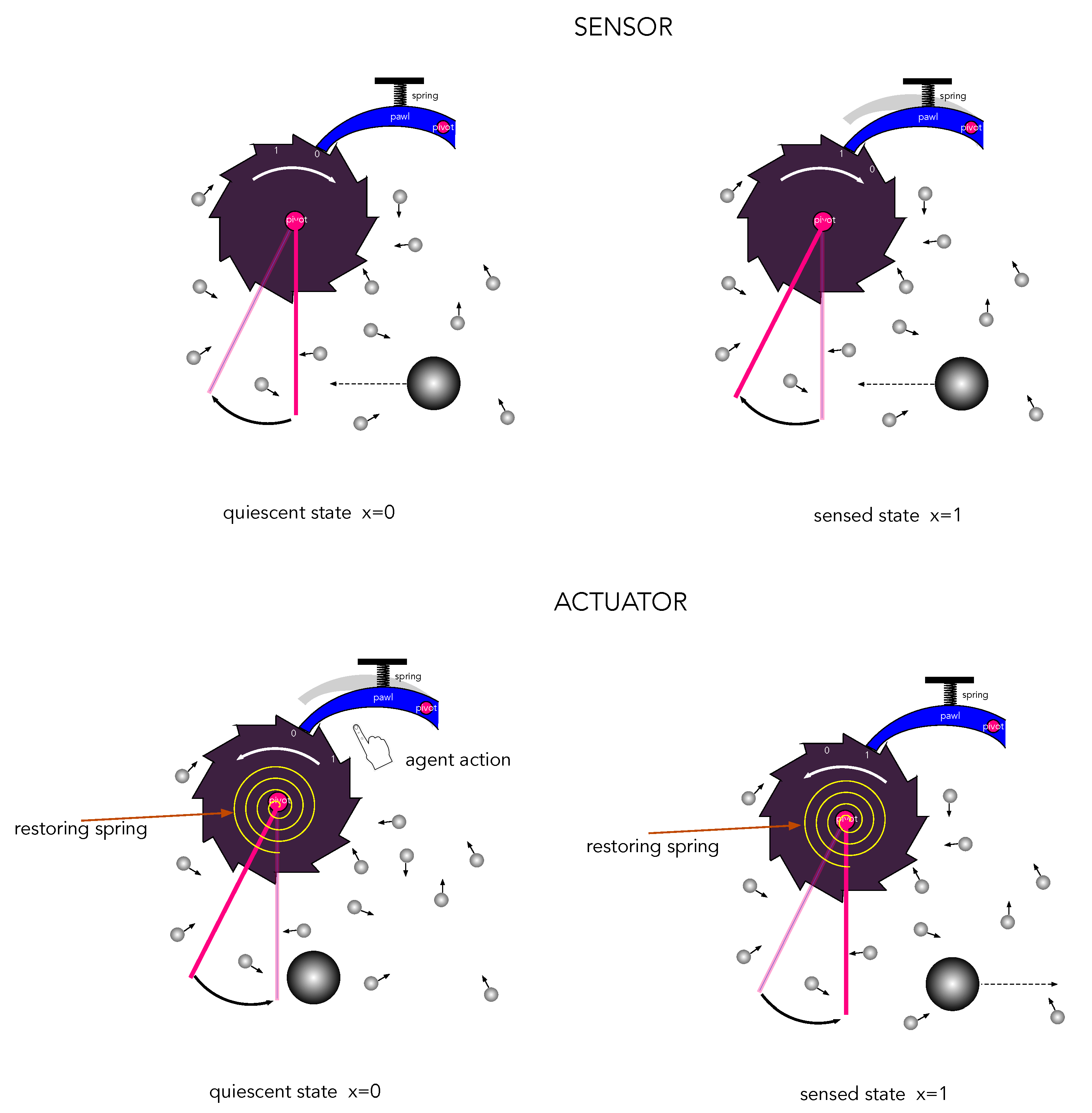 Entropy 25 01190 g005