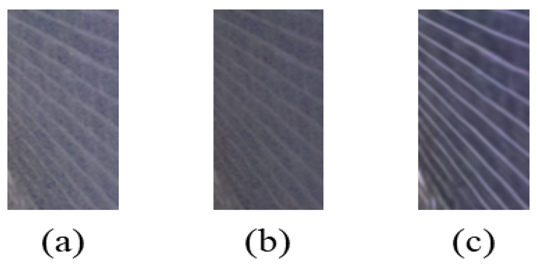Entropy 25 01282 g014 Entropy 25 01282 g014