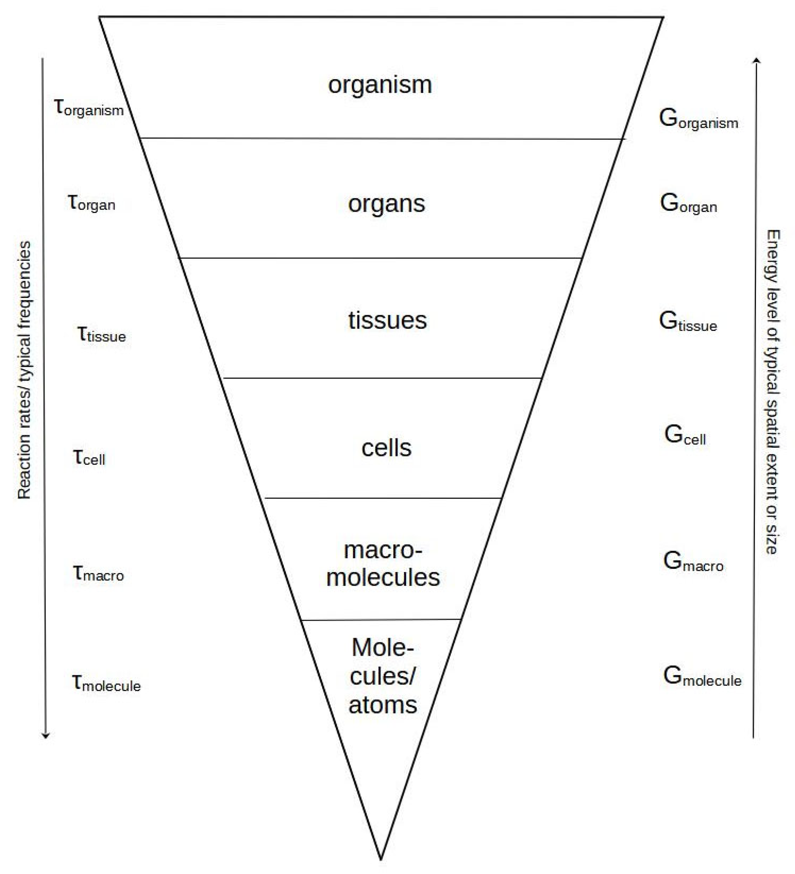 Entropy 25 01288 g001