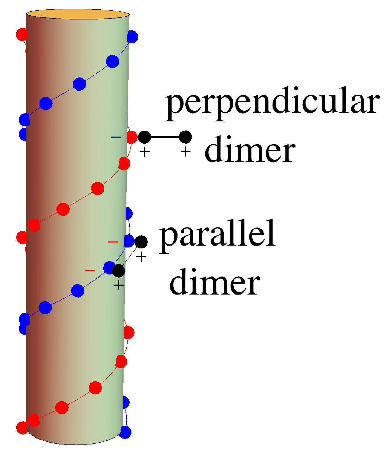 Entropy 25 01373 g004 Entropy 25 01373 g004
