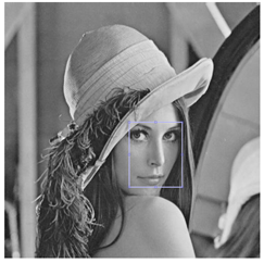 Entropy 25 01467 i001