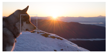 Entropy 25 01467 i074