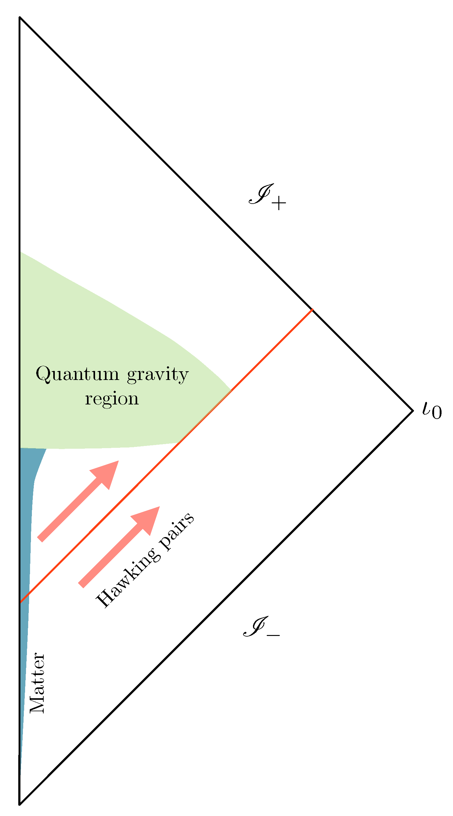 Entropy 25 01479 g002