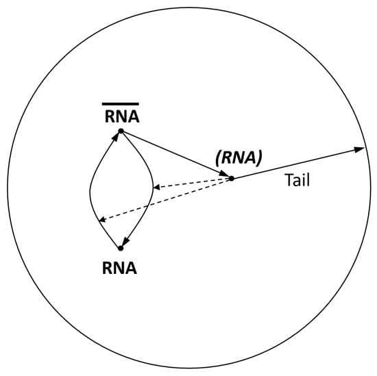 Entropy 25 01596 g0a2