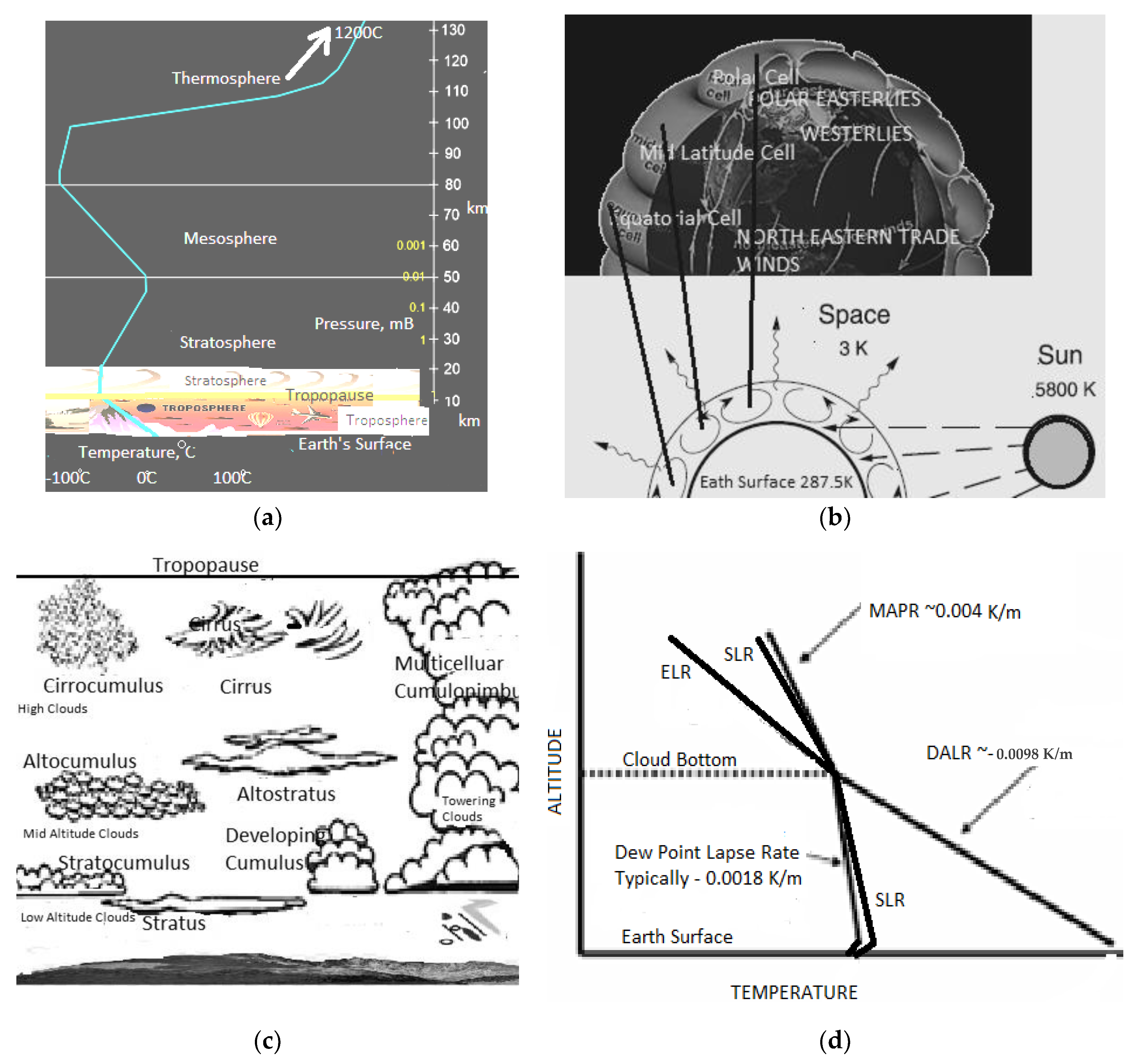 Entropy 25 01625 g001 Entropy 25 01625 g001