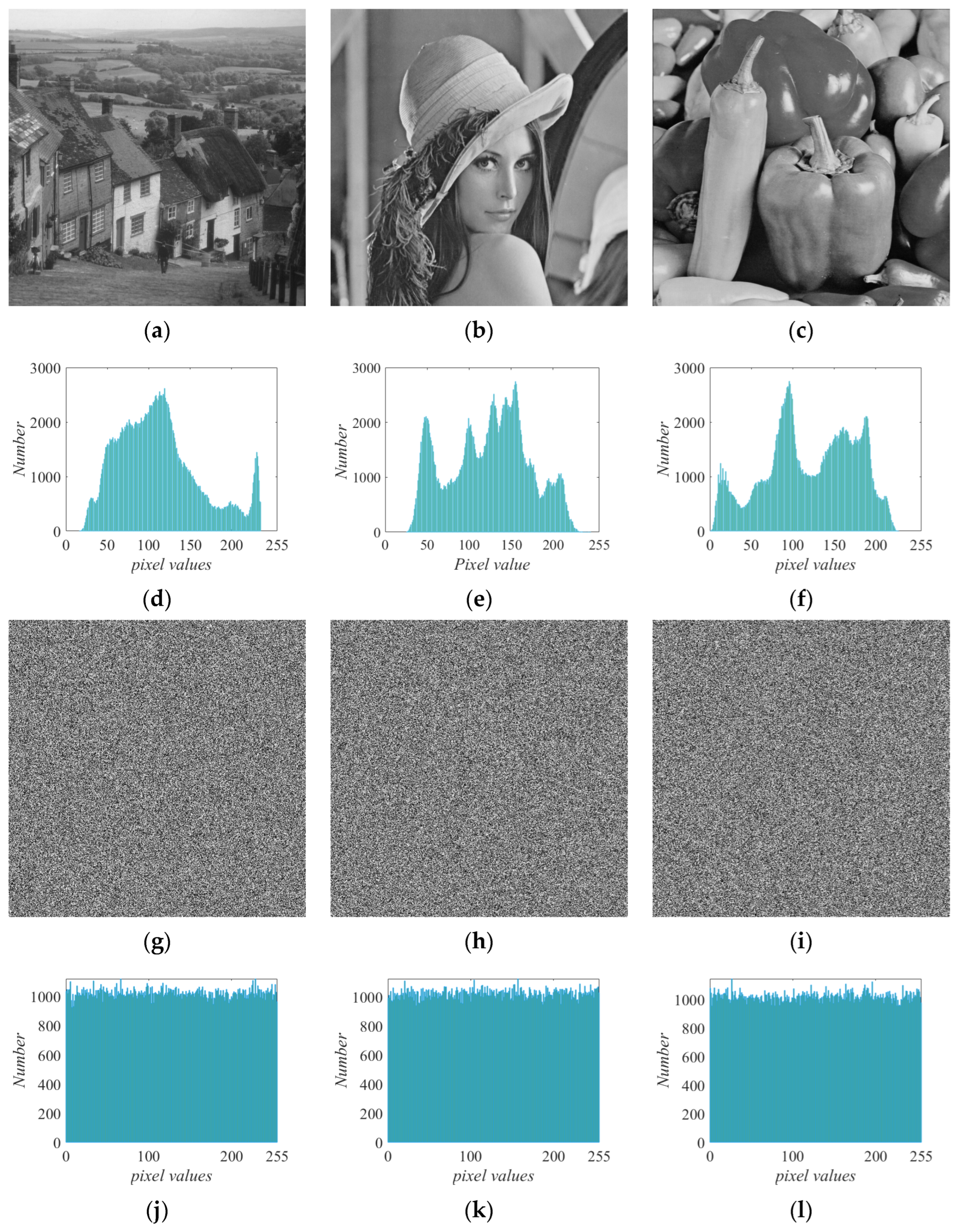 Entropy 25 01656 g011