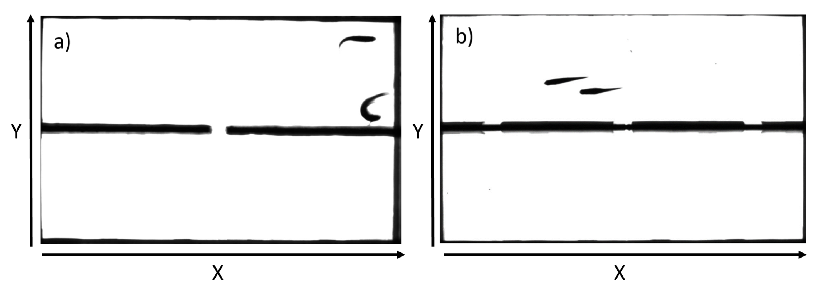 Entropy 26 00013 g001