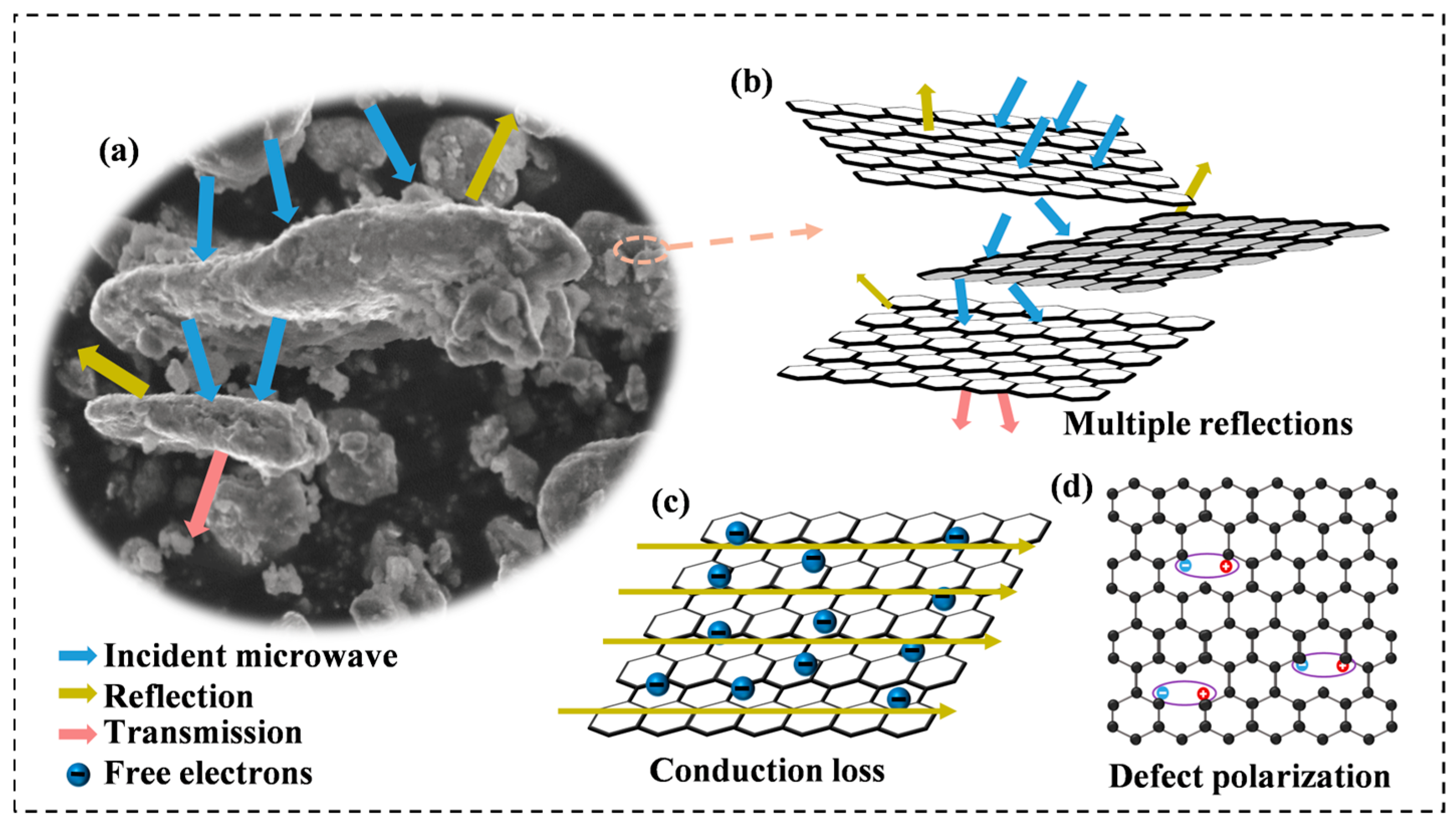 Entropy 26 00060 g013