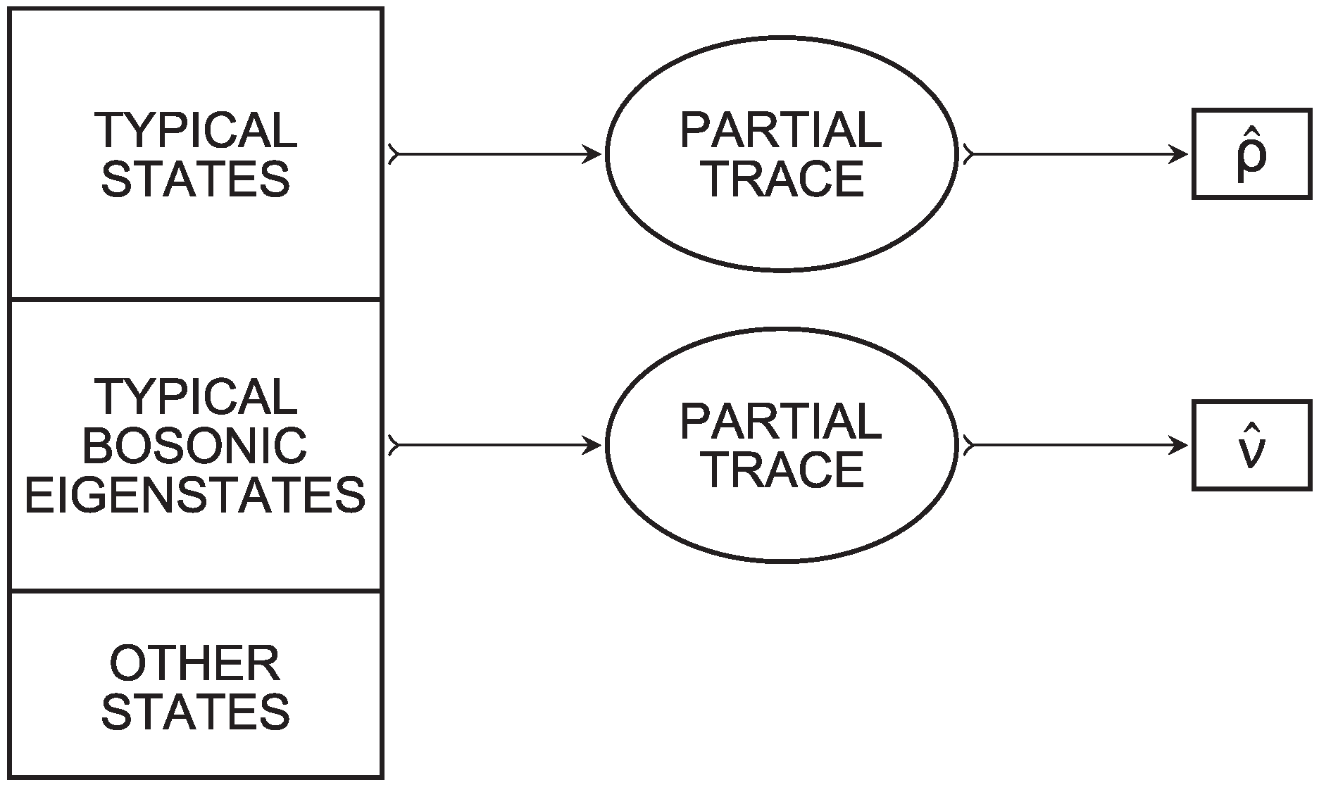 Entropy 26 00107 g001
