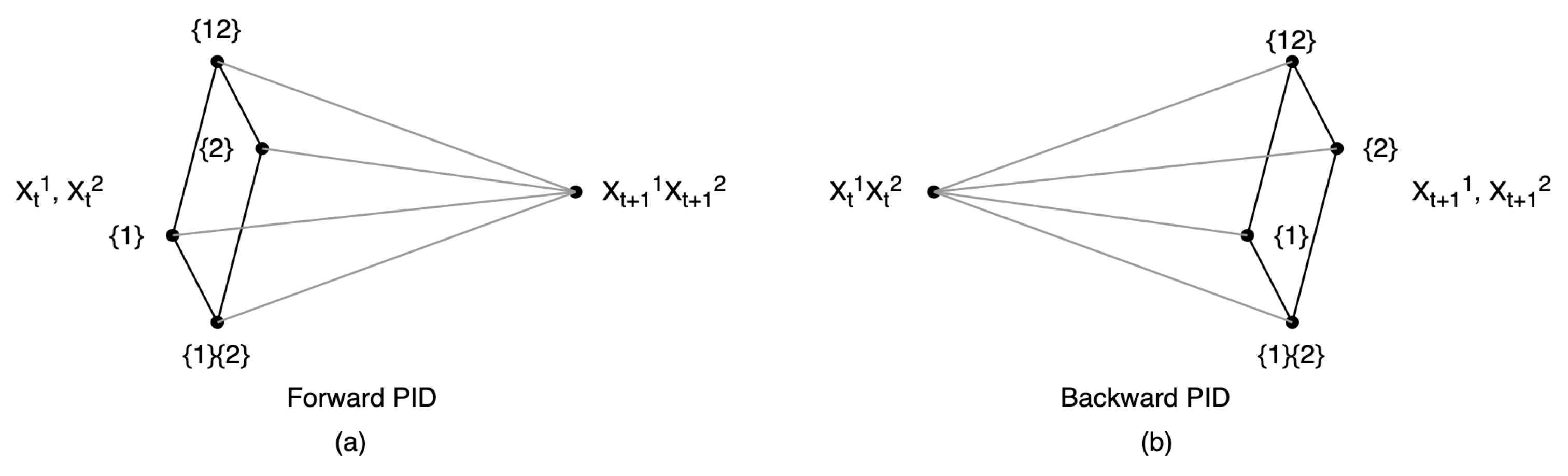 Entropy 26 00108 g010